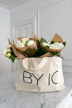 ToteIC Bag